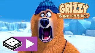 Grizzy en de Lemmings | IJsvissen | Cartoonito