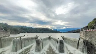 來看  苗栗鯉魚潭水庫壯觀的溢洪