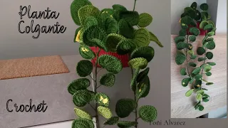 Planta Colgante (crochet)@ToniAlvarezJeLa