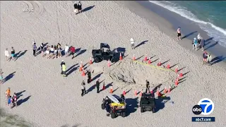 Child dies after falling into 6-foot hole on Florida beach