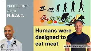 Why humans were designed to eat meat with Dr. Anthony Chaffee