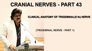 CRANIAL NERVES - PART 43,CLINICAL ANATOMY OF TRIGEMINAL (5th ) NERVE,TRIGEMINAL NERVE -PART 1