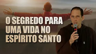 O SEGREDO PARA UMA VIDA NO ESPÍRITO SANTO | Ir. Luís Maria #institutohesed