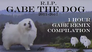 Rest in Peace - Gabe the Dog - One Hour of Gabe the Dog Memes