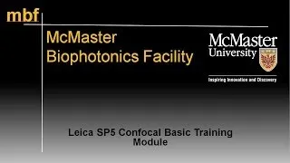 Sp5BasicModule