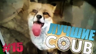 Лучшие Приколы COUB #15