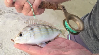 Pinfish on the lo-fli System