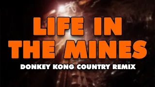 Donkey Kong Country - Life in the Mines (Remix)