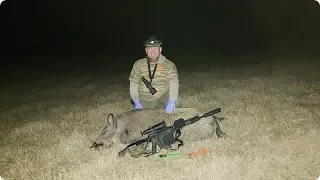 6.5 Grendel Controlled Chaos (Brass) Initial Hog Hunting Results