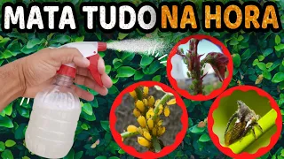 Mata Pulgão, Fungo, Cochonilha, Ácaros, Trips, Mosca Branca (Sem Gastar Nada)