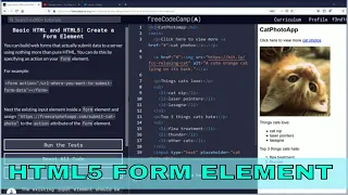 Create a Form Element Free Code Camp Org Basic HTML and HTML5