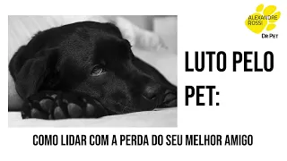 Luto pelo pet: como lidar com a perda do seu melhor amigo