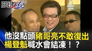 「他」沒點頭豬哥亮不敢復出 影視大亨楊登魁喊水會結凍！？ 關鍵時刻 20170515-3 王瑞德 丁學偉 朱學恒