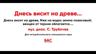 🎼 "Днесь висит на древе" С. Трубачев (бас)