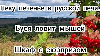 Пеку печенье в русской печи. Буся ловит мышей. Шкаф с сюрпризом.