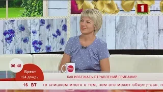 Как избежать отравления грибами? Эфир 16.07.2019