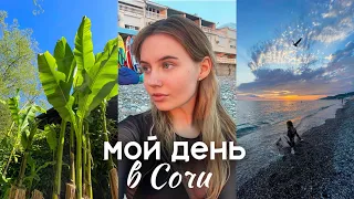 МОЙ ДЕНЬ В СОЧИ  / купание в море, одна в лесу *влог*