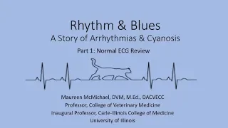 Rhythm & Blues: Part 1, Normal ECG