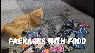 Cat food parcels, cat happiness, cats are shocked by this amount of food