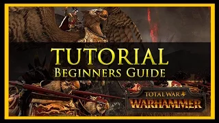 Total War Tutorial for Beginners | Warhammer Edition