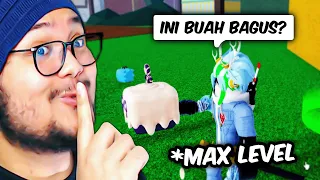 AKU PURA PURA BARU MAIN UNTUK NGEPRANK PEMAIN BARU DI BLOX FRUITS!?