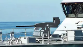 Oerlikon Searanger 20 - High Precision 20 mm Naval Gun #shorts