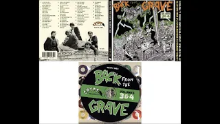 Back From The Grave Volumes 3 & 4 (Re-recorded & Re-mastered)