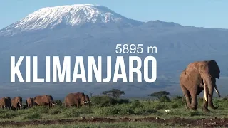 KILIMANJARO ADVENTURE | Hiking at 5895m | Lemosho route 6 days