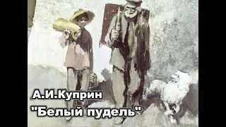 А. И. Куприн "Белый пудель" (диафильм)