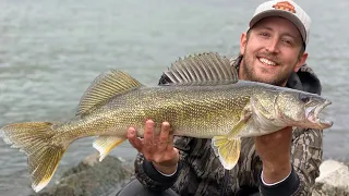 Allegheny River BIG WALLEYE, BASS and TROUT