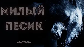 МИЛЫЙ ПЁСИК - БАЙКИ У КОСТРА. МИСТИЧЕСКИЕ ИСТОРИИ - СТРАШНЫЕ РАССКАЗЫ НА НОЧЬ - НОВЫЕ УЖАСЫ 2021