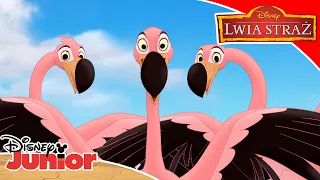 🎼 Disco Flamingo | Lwia Straż | Disney Junior Polska