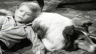 Lassie | The Crash | Lassie English Full Episodes | Old Cartoons | Videos For Kids