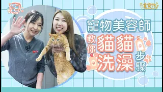 【寵物美容體驗EP2】寵物美容師教你🐱貓貓洗澡步驟︳咬傷怎處理？新手注意事項︳寵物美容新手教學︳寵寵物 PET YOUR PET