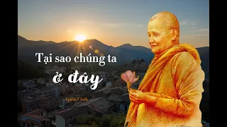 Tại sao chúng ta ở đây - Thiền Sư Ajahn Chah