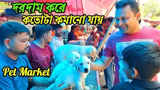 Galiff Street Pet Market Kolkata | dog market in kolkata | pet planet | Gallif street kolkata | Dog