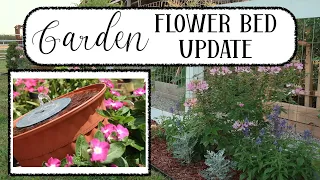 Sharing Updates on my Garden Flower Beds and Solar Fountain // Cluttered CorkBoard