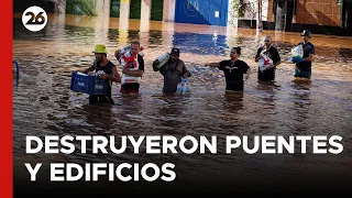 BRASIL | Decenas de perros fueron rescatados en medio de las inundaciones en Rio Grande do Sul