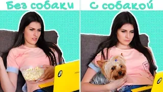 Жизнь с собакой и без / Скетч!