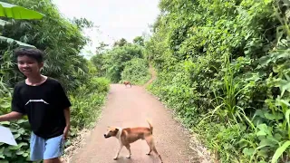 Puntahan natin ang kabilang parte ng aming bukid Lakad lakad tayo let’s go