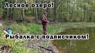 Рыбалка с поплавком на лесном озерце - КРАСОТА!