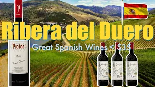 Ribera Del Duero || Spanish Wine || Decants with D