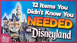 12 Items You Didn't Know You NEEDED at Disneyland