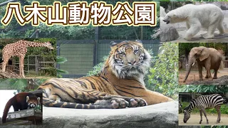 【八木山動物公園】仙台市の八木山動物公園に行って来たよ！