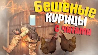 БЕШЕНЫЕ КУРИЦЫ С ЧИТАМИ В CS:GO (Троллинг, юмор, приколы, фейлы)