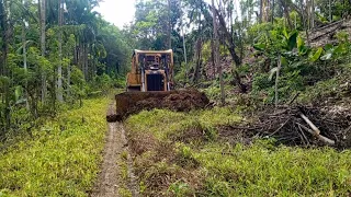 Abandoned plantation roads are repaired again using CATERPILLAR BULLDOZER D6R XL heavy equipment