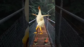 funny chicken dance 🐓🐓 funny chicken song #shorts