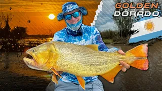 Döme Gábor - Dél-Amerika aranya, a Golden Dorado