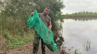 СТОЛЬКО РАКОВ Я ЕЩЕ НЕ ЛОВИЛ! ЛОВЛЯ НА ЧЕСНОК! САМЫЙ ПРОСТОЙ И ВКУСНЫЙ РЕЦЕПТ ПРИГОТОВЛЕНИЯ РАКОВ!