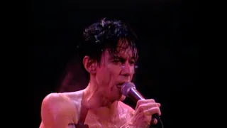 Iggy Pop - Winners & Losers - 11/14/1986 - Ritz